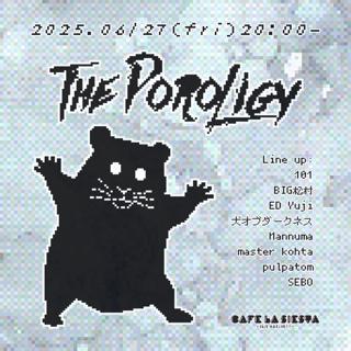 The Poroligy