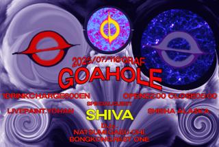 Goahole