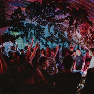 Elevation & Friends