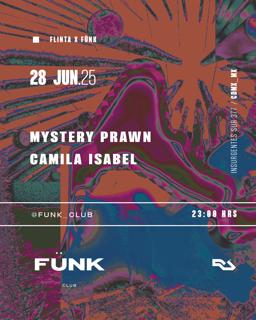 Flinta X Fünk