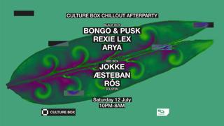 Culture Box Chillout Afterparty: Bongo & Pusk / Rexie Lex / Arya / Solstøv: Jokke / Æsteban / R