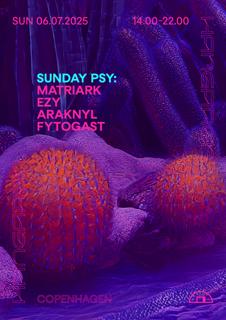Sunday Psy: Matriark, Ezy, Araknyl, Fytogast
