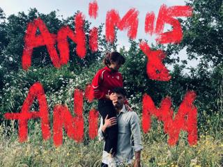 Animus & Anima - Performance-Instalação