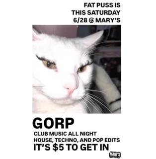 Fat Puss
