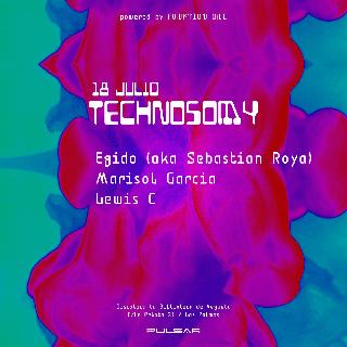 Technosomy