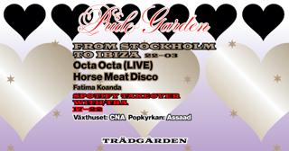 Pride Garden: From Stockholm To Ibiza