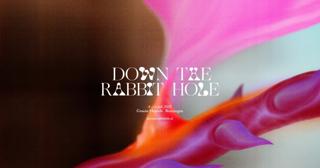 Down The Rabbit Hole 2025