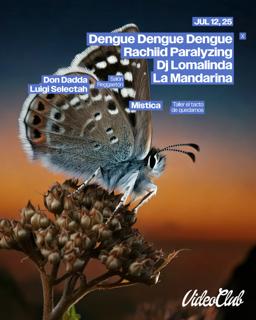 Dengue Dengue Dengue (Pe) / Dj Lomalinda / Rachiid Paralyzing
