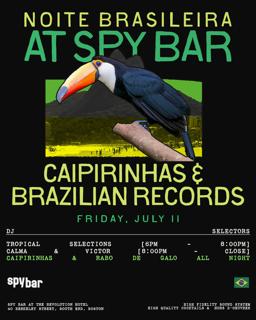 Brazilian Night Vol. 4