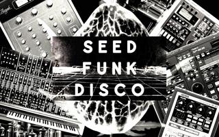 Seed Funk Disco