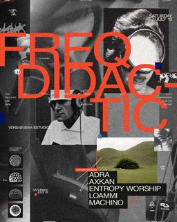 Freq Didactic