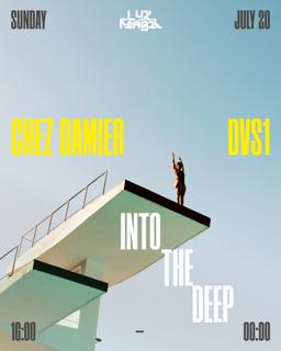 Into The Deep: Dvs1, Chez Damier