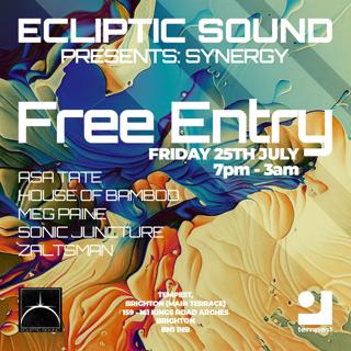 Ecliptic Sound Presents: Synergy