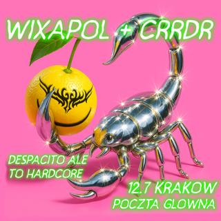 Wixapol Krakow + Crrdr: Despacito Ale To Hardcore