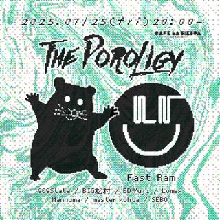 The Poroligy