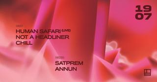 Human Safari (Live) & Not A Headliner