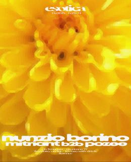 Esotica With Nunzio Borino And Mitriant B2B Pozee
