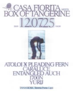 Casa Fiorita Meets Box Of Tangerine