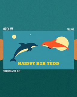 Open W: Haidut B2B Tedd