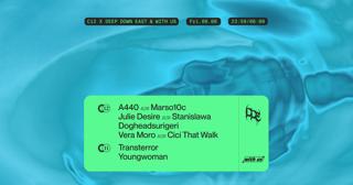 C12 Nite