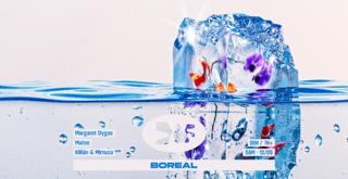 Boreal · Margaret Dygas
