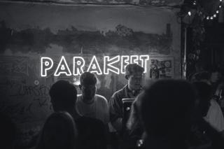 Parakeet House Music Collective