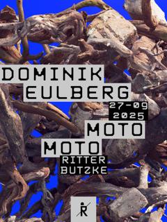 Dominik Eulberg