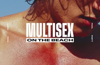 Multisex On The Beach - Pool Party