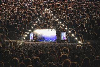 Grape Festival 2025