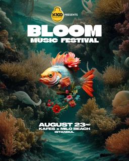 Bloom Music Festival