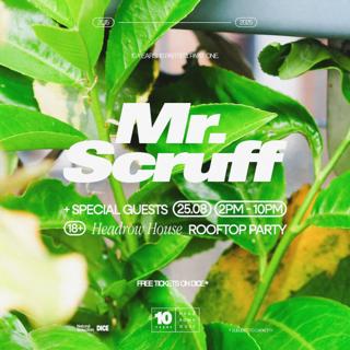 Mr Scruff