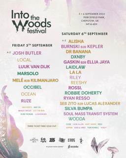 Into The Woods Festival 2025