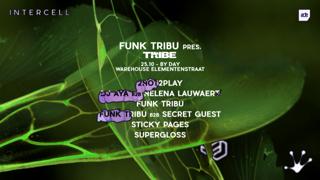Intercell X Funk Tribu Pres. Tribe - Ade By Day