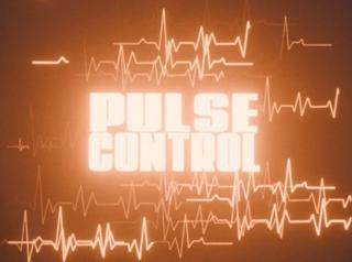 Bass/Culture Pres. Pulse Control With Muzz (Uk)