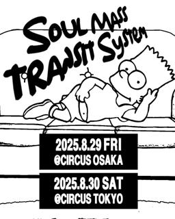 Soul Mass Transit System