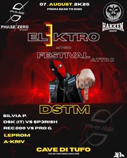 Elektro Music Festival