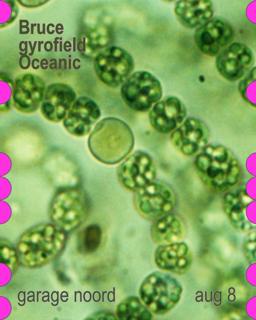 Bruce, Gyrofield, Oceanic