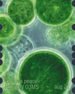 Ìpọ̀Sìn'S Peace.: H!Dden G3Ms