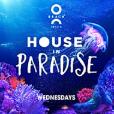 House In Paradise Closing Party
