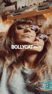 Bollycat