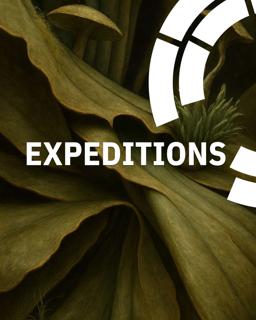 Expeditions
