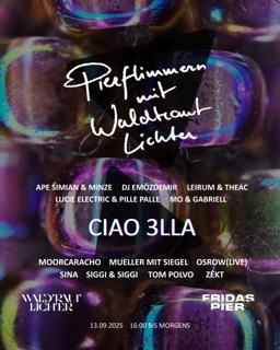 Pierflimmern Mit Waldtraut Lichter