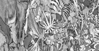 Macadam X Collectif 360 • Murphy ~ Luz