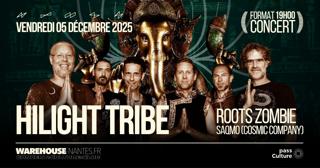 Hilight Tribe Et Roots Zombie En Concert À Nantes 
