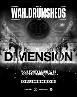 Worried About Henry With Dimension