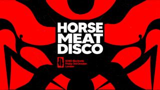 Koko Electronic: Horse Meat Disco