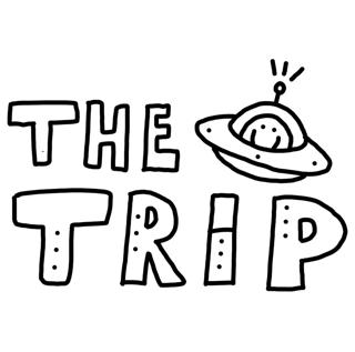 Fly // The Trip