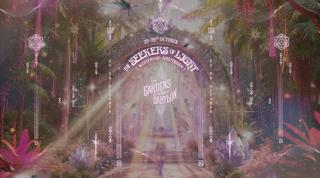 The Seekers Of Light