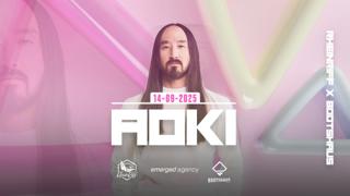 Steve Aoki - Rheinriff X Botshaus