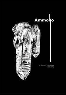 Ammollo